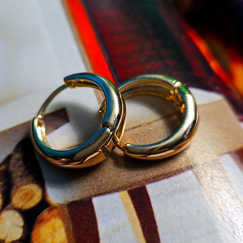 Earrings #100221